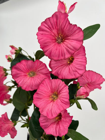 Flower morning glory bright pink, 76cm