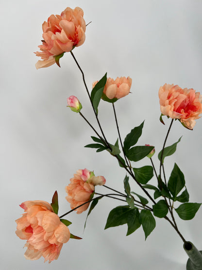 Paeony spray Sapporo peach, 126cm