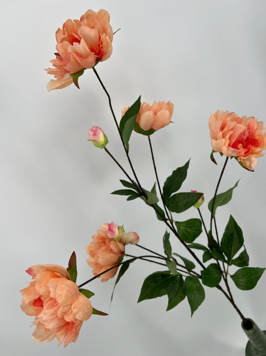 Paeony spray Sapporo peach, 126cm