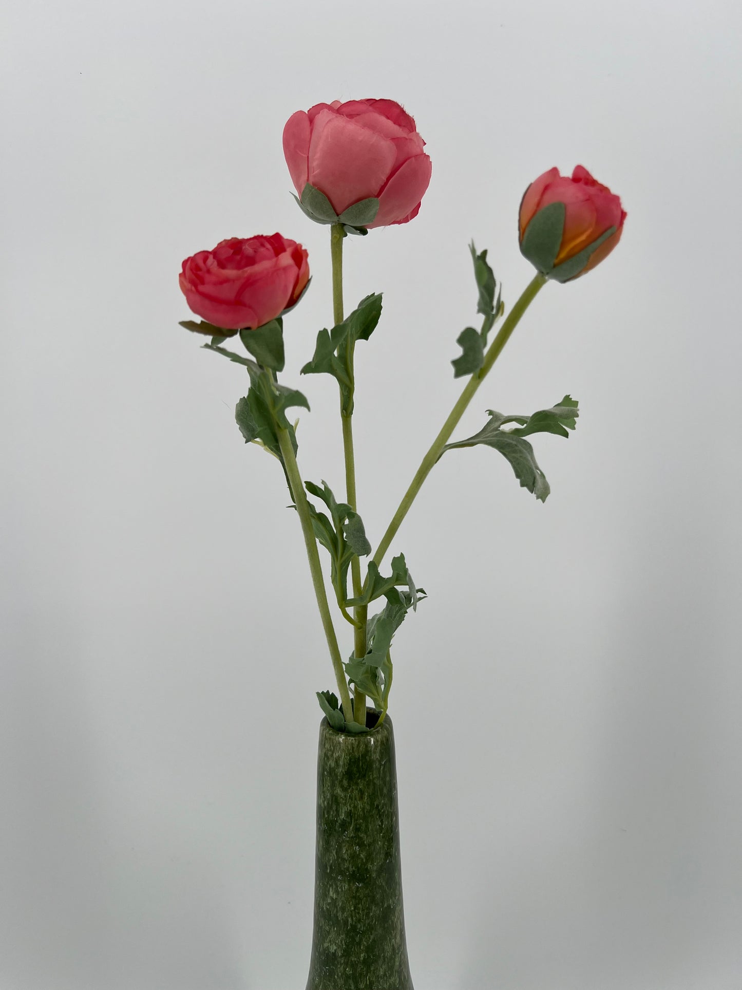 Flower Ranunculus pink, 73cm
