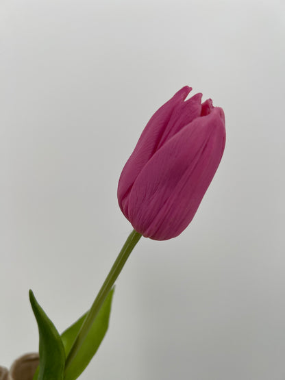 Mooie enkele kunst tulip met groen in mauve en oranje, 45cm