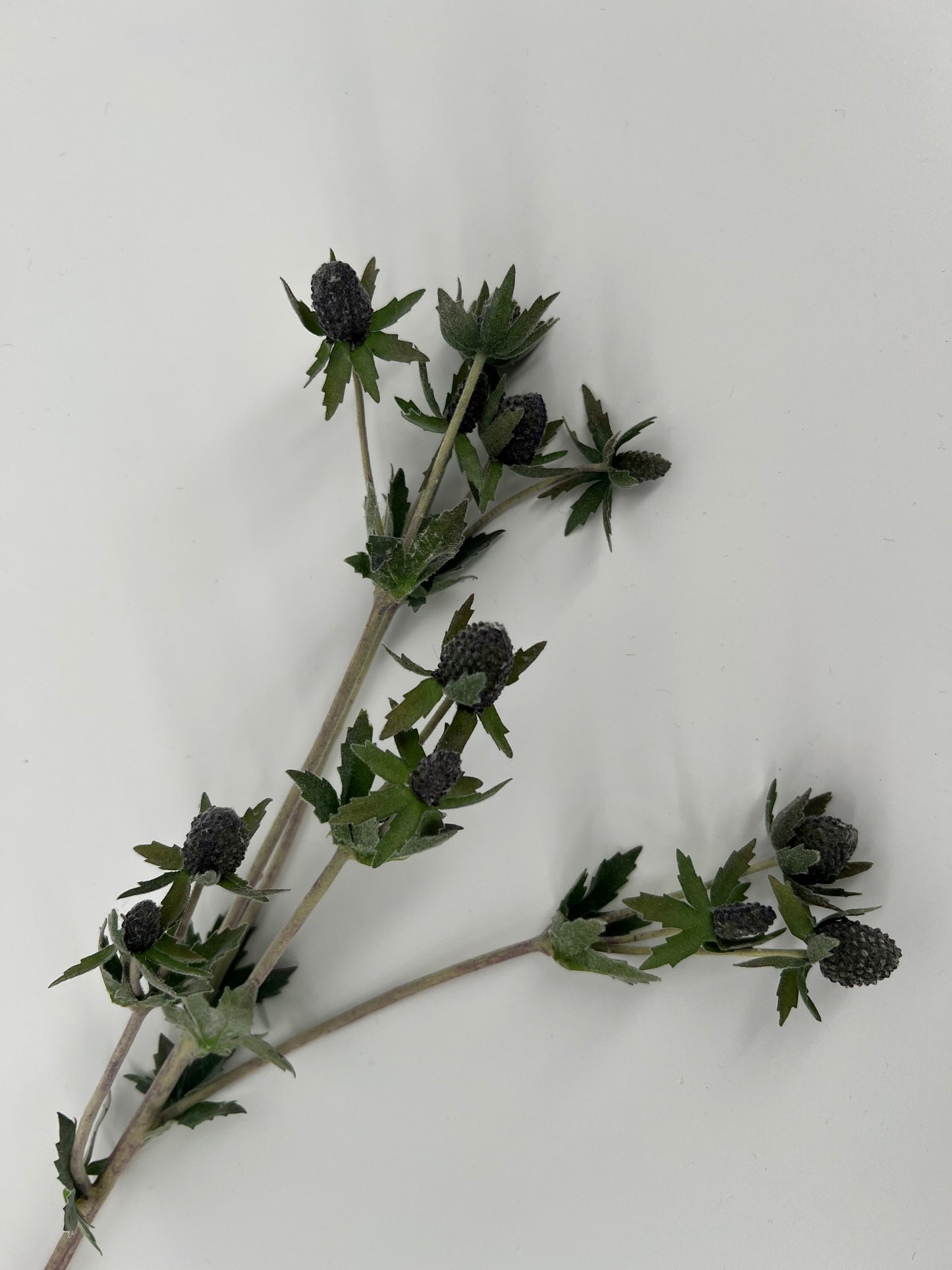 Distel knop in donker groen/antraciet grijs, 58cm