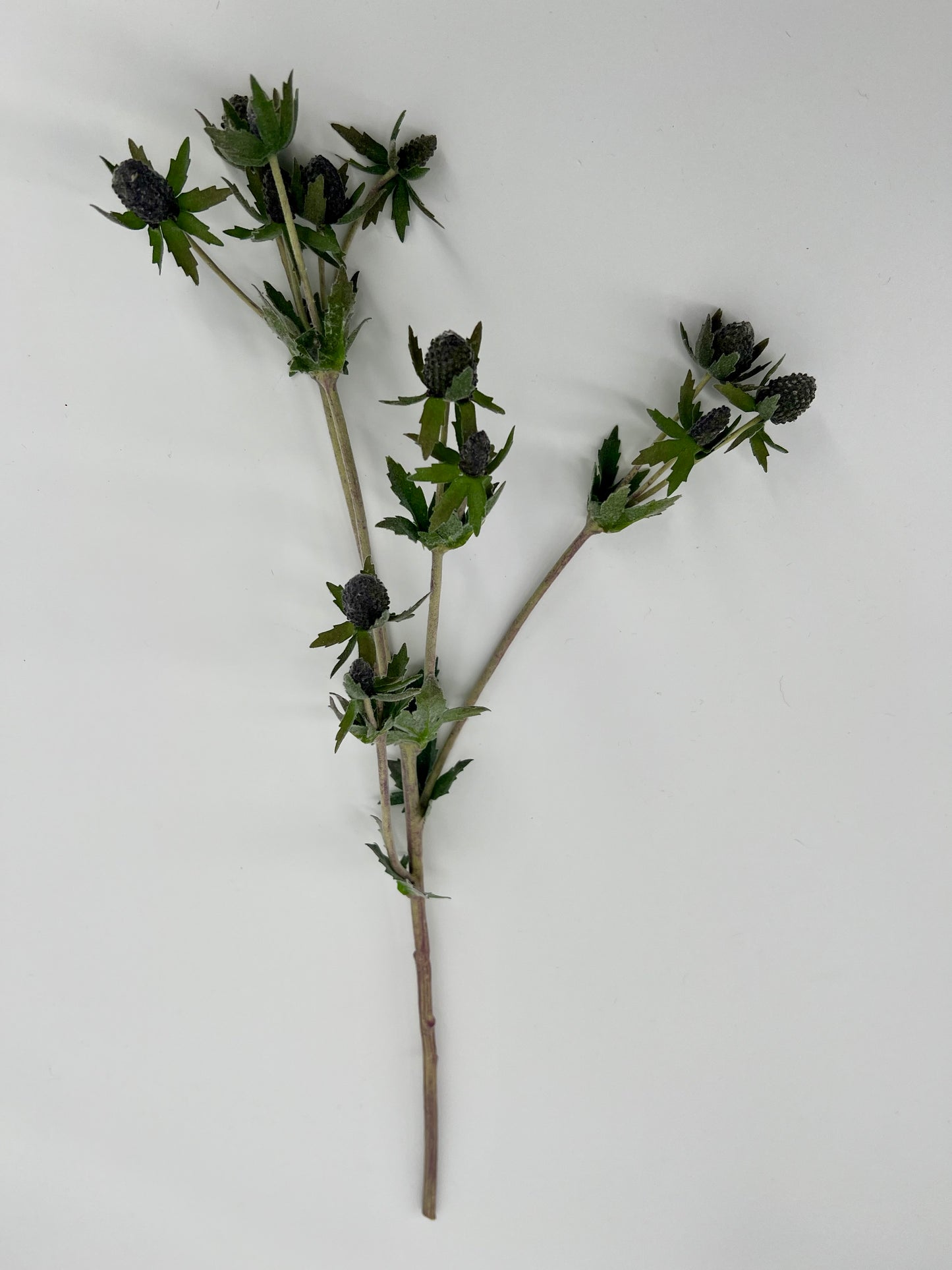 Distel knop in donker groen/antraciet grijs, 58cm