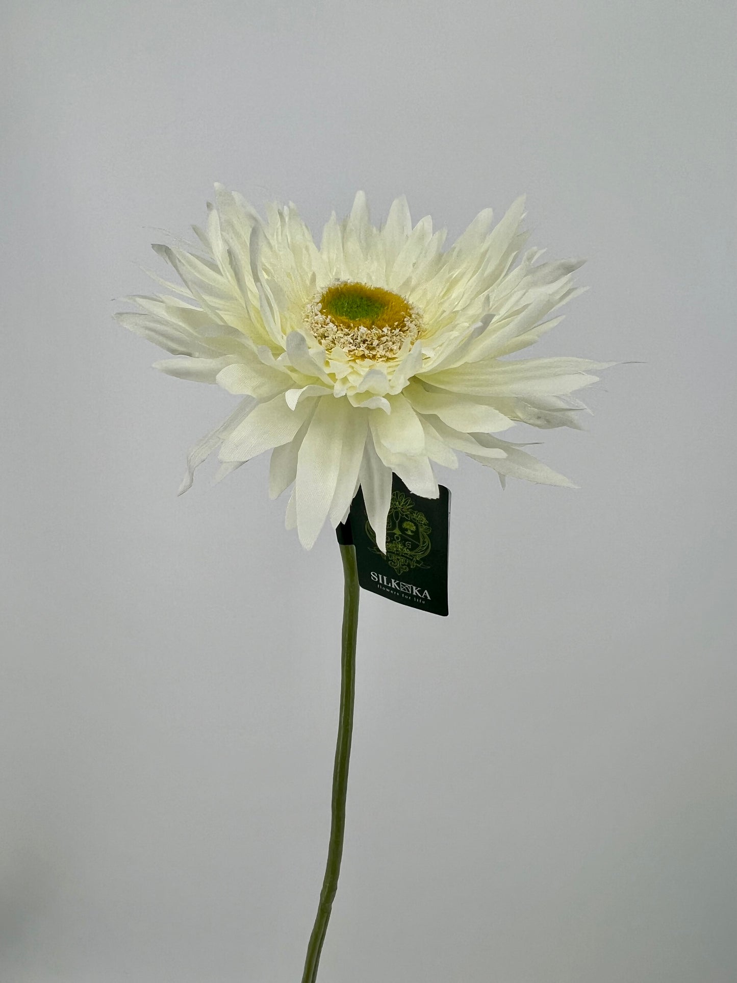 Bos gerbera's 6 stelen van elke kleur één, 5 + 1 gratis, 61cm