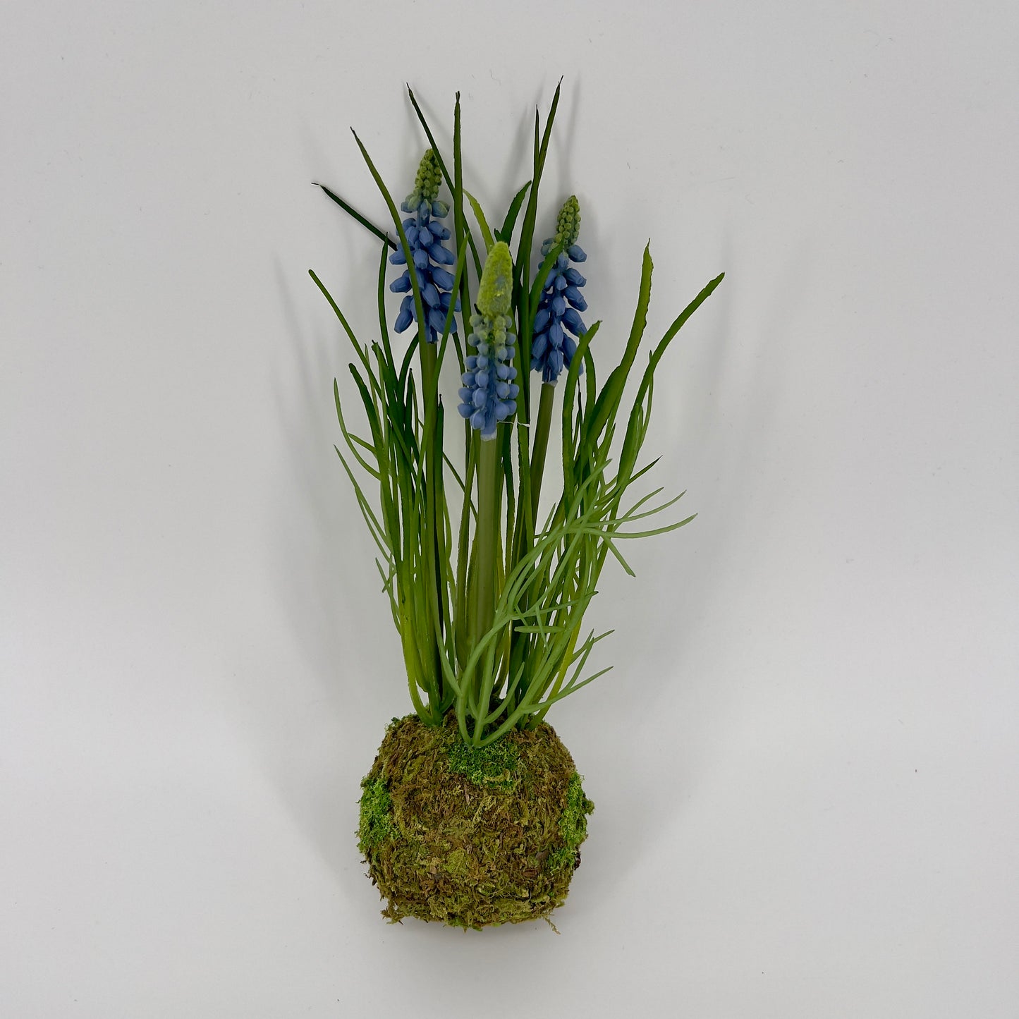 Decoratieve blauwe druifjes vast in "mud ball" met mos , 23/24cm