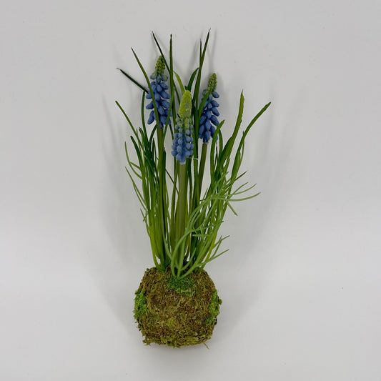 Decoratieve blauwe druifjes vast in "mud ball" met mos , 23/24cm