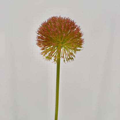 Kunst Allium spring perfect grande green/ red/purple blue, 80cm