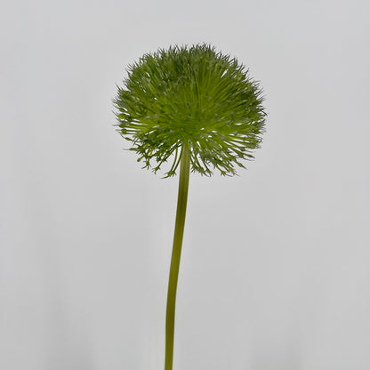 Kunst Allium spring perfect grande green/ red/purple blue, 80cm