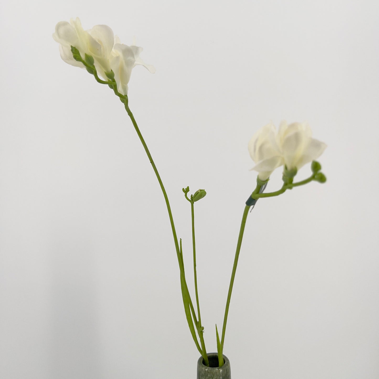 Silk-ka kunst Freesia's in mooie intense kleuren, 78cm