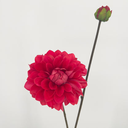 Silk-ka kunst Dahlia's in 6 prachtige intense kleuren, 86cm