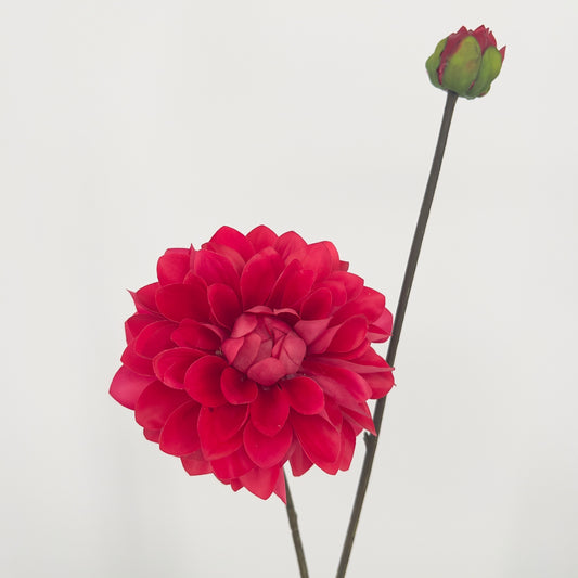 Silk-ka kunst Dahlia's in 6 prachtige intense kleuren, 86cm