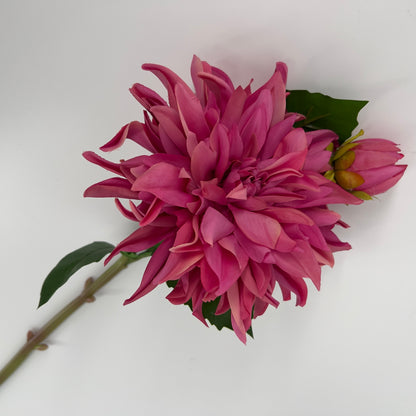 Dahlia pink/roze met knop en scheuten, 70cm