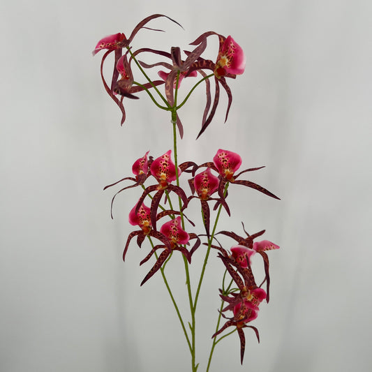 Silk-ka Orchidee  in de kleuren oranje, paars/roze en beauty, 108cm
