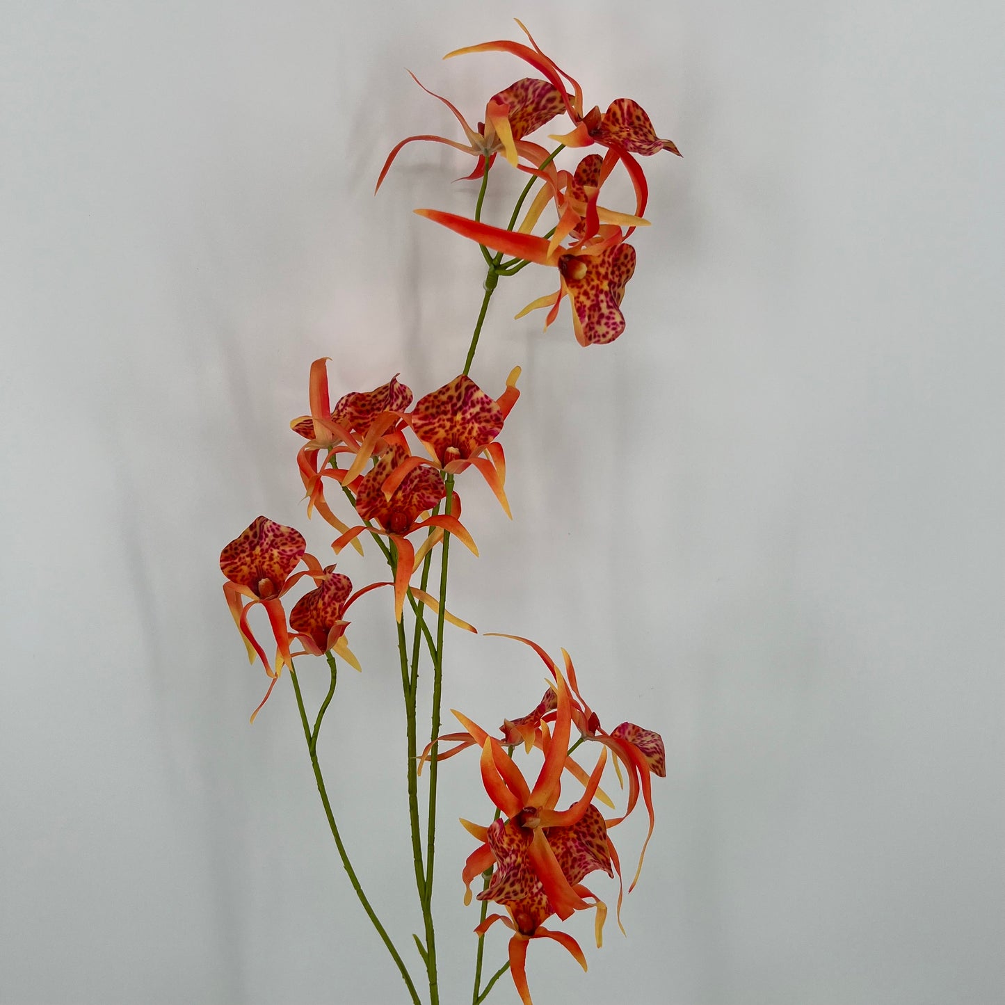 Silk-ka Orchidee  in de kleuren oranje, paars/roze en beauty, 108cm