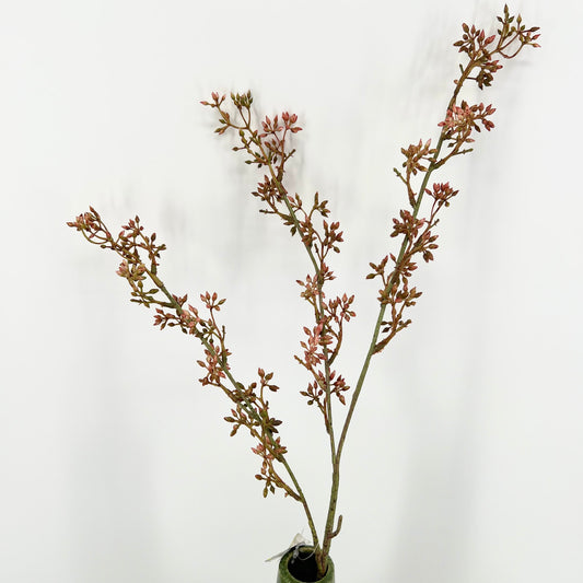 Ligustrum flower brown kunsttak BRYNXZ, 80cm