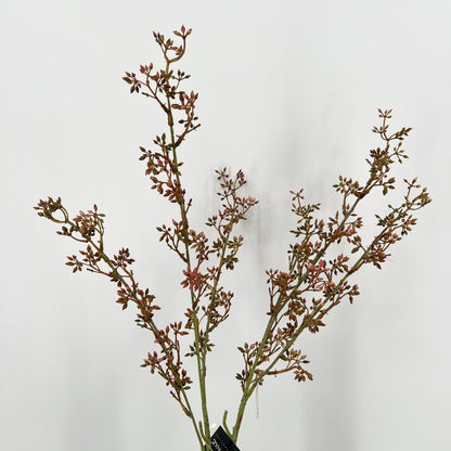 Ligustrum flower brown kunsttak BRYNXZ, 80cm