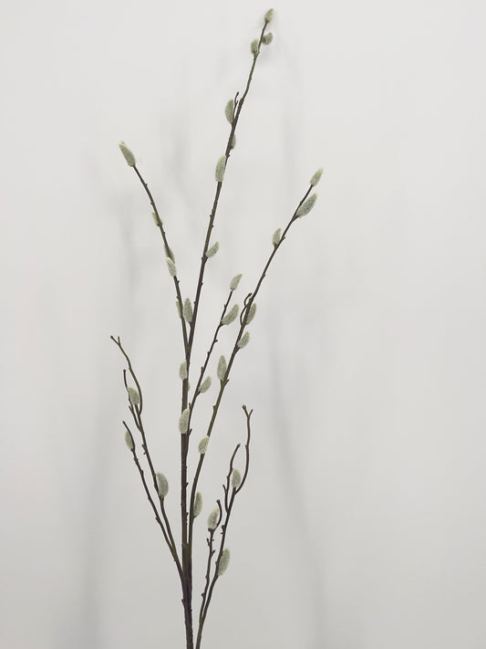 Wilgenkatjes, 130cm