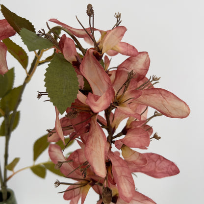 Wisteria antiek pink, 100cm