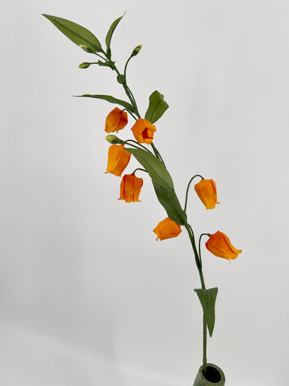 Tak Sandersonia 95cm licht oranje