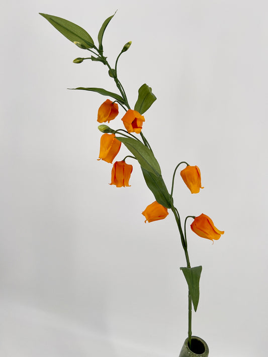 Tak Sandersonia 95cm licht oranje