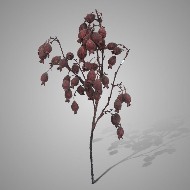Tak fruit branch 02, 95cm