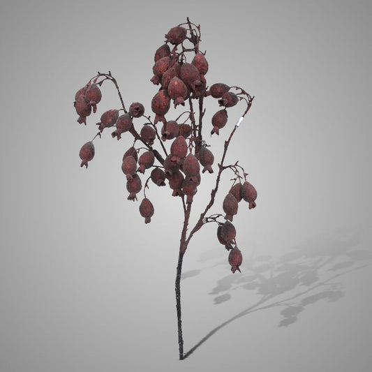 Tak fruit branch 02, 95cm