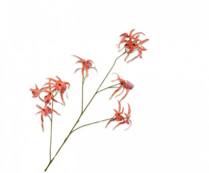 Silk-ka Orchidee  in de kleuren oranje, paars/roze en beauty, 108cm