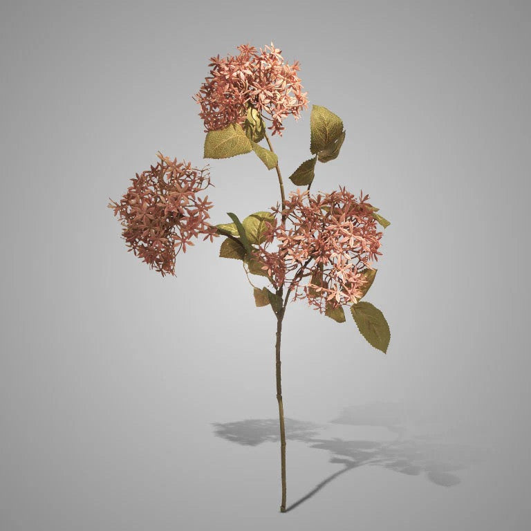Egelantier oudroze van BRYNXZ, 69cm