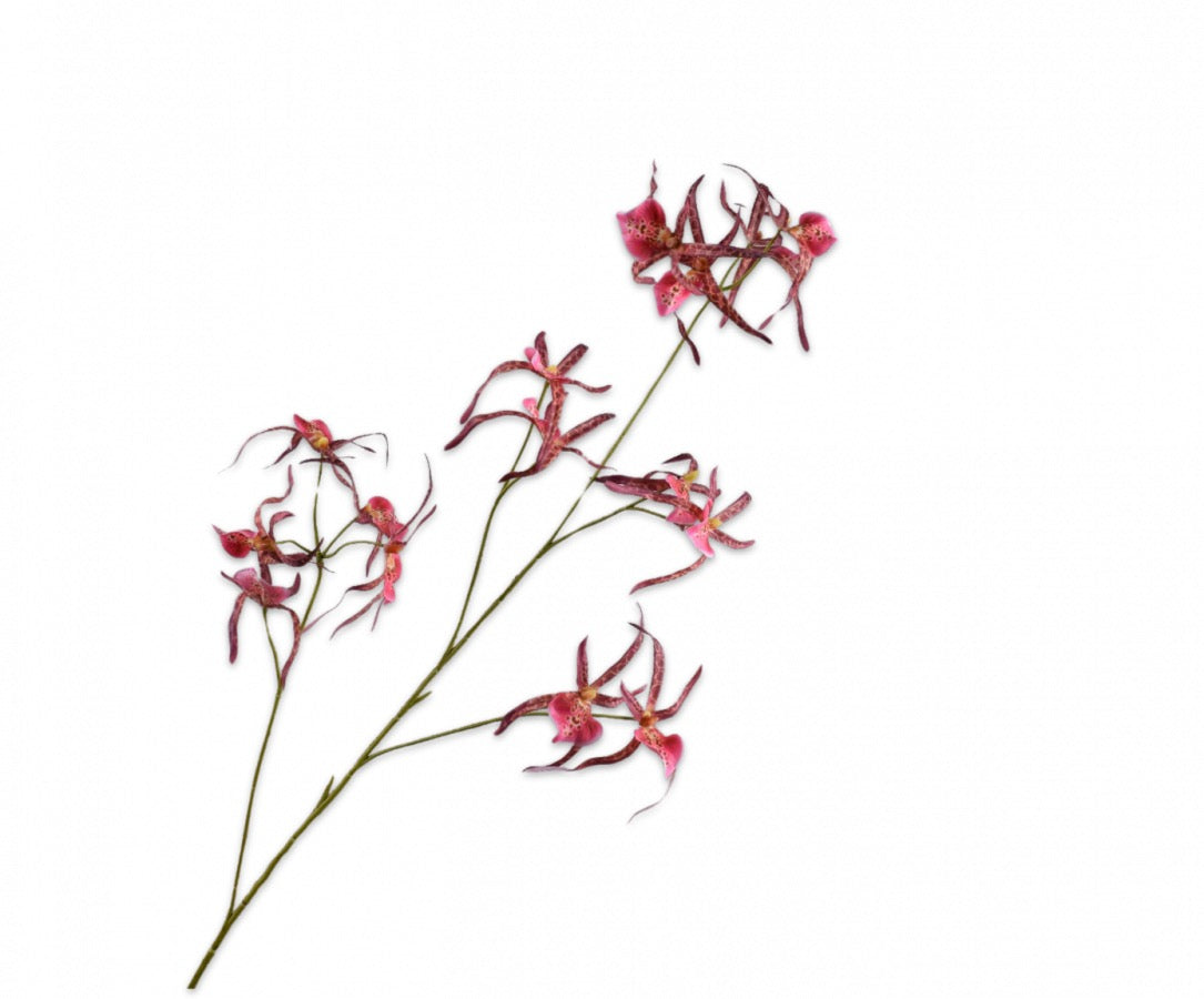 Silk-ka Orchidee  in de kleuren oranje, paars/roze en beauty, 108cm