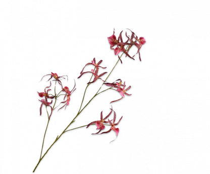 Silk-ka Orchidee  in de kleuren oranje, paars/roze en beauty, 108cm